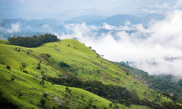 best time to visit Wayanad