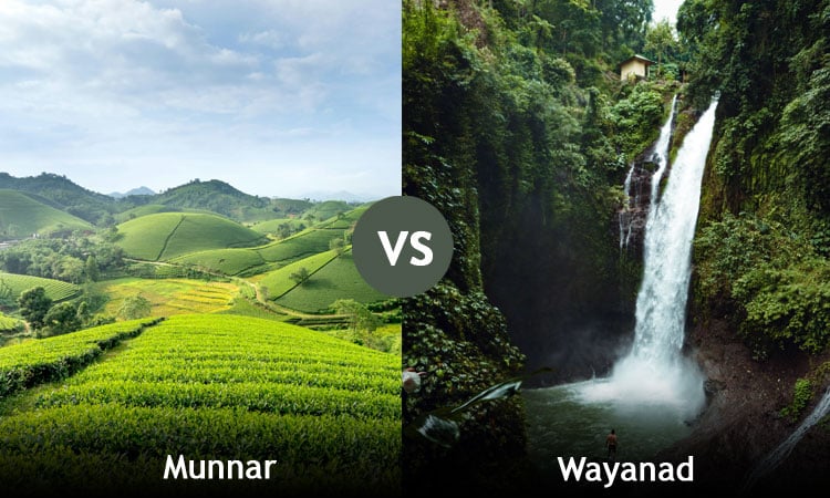 Traveller choosing Wayanad for adventure and nature