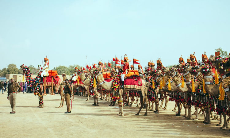 Festivals-Aren’t-Just-Pushkar-and-Desert-Fairs