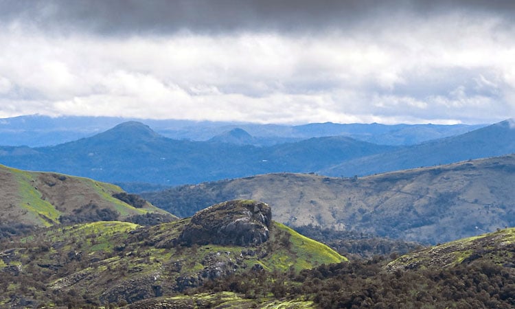 the scenic landscape of Hill View Park in Idukki