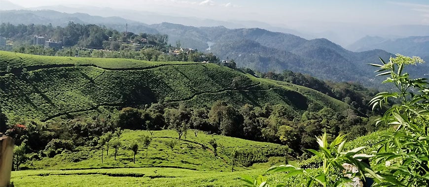 Idukki Tourism & Travel Guide