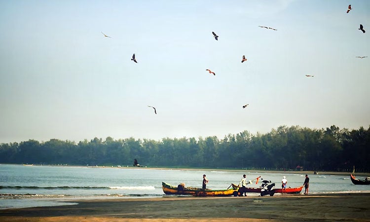 Activities in Kannur