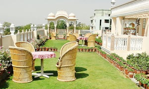 Rajasthan-For-Pet-Parents-Hotels-Explorable-Cities-and-Travel-Tips-in-2025