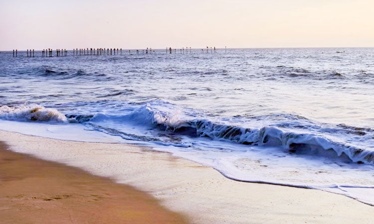 Famous Festivals and Events in Alleppey