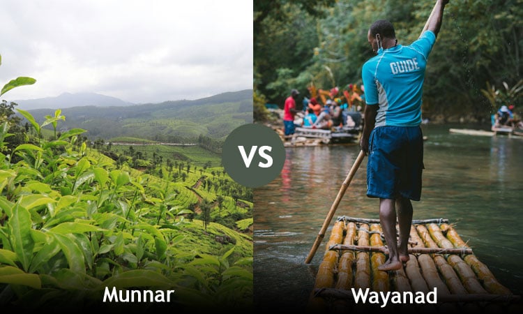 Resort and nature stay options in Munnar and Wayanad