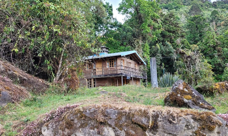 Stay in Munnar, Kerala