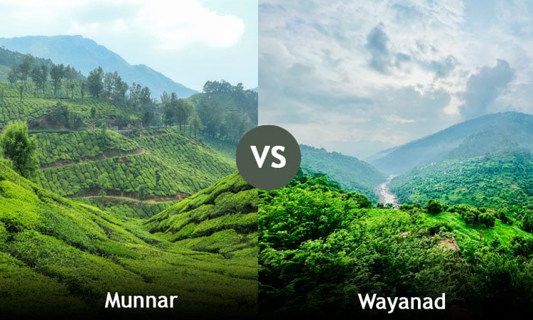 Weather comparison between Munnar and Wayanad