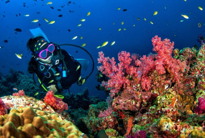 Adventure in Andaman with Neil Island