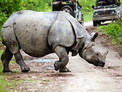 Assam Meghalaya Tour​