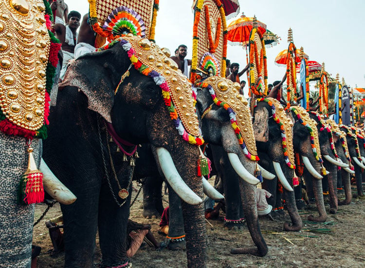 Kerala-Festival-Photography