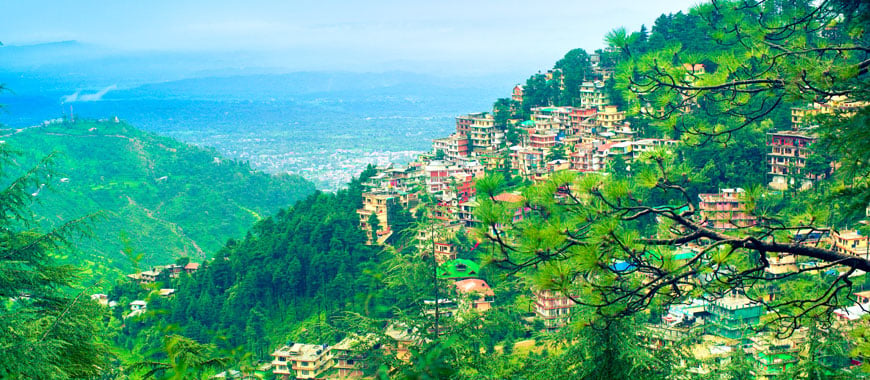 Things to Do in Kangra Valley: A Complete Travel Guide