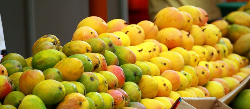 Mango-Festival-Haryana
