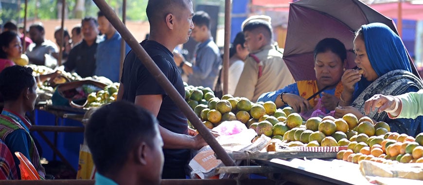 Orange-Festival-Tripura