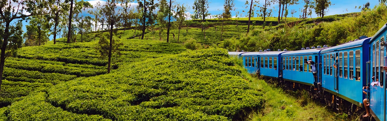 Things-to-do-in-Sri-Lanka