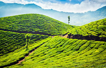 8 Days Kerala Tour Package