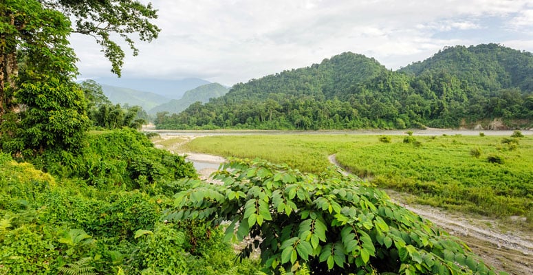 Bhalukpong
