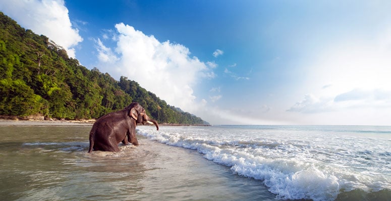 Havelock Island