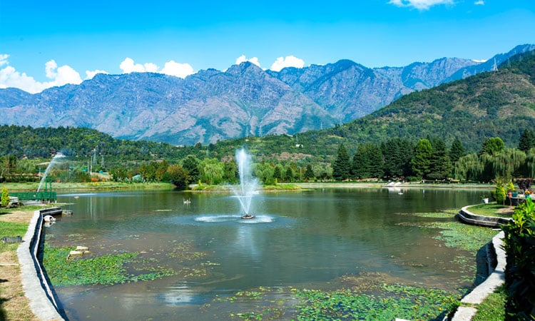 Jawaharlal Nehru Botanical Garden
