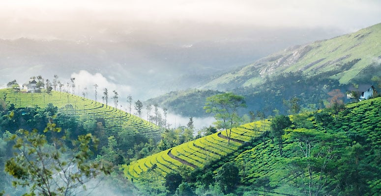 Vagamon