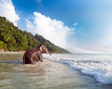 Adventure in Andaman with Neil Island