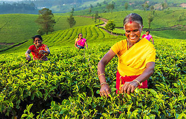 Best of Kerala tour package