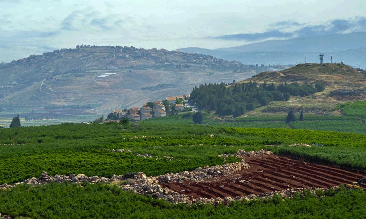 Pamukkale & Denizli Region – Ancient Wine Roots