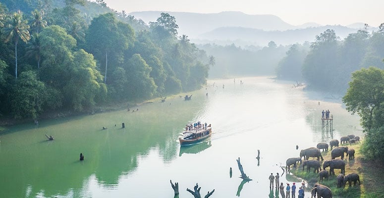 Thekkady (Periyar) forest and spice plantation region
