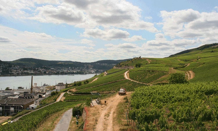 Thrace Wine Route – Turkey's Bordeaux