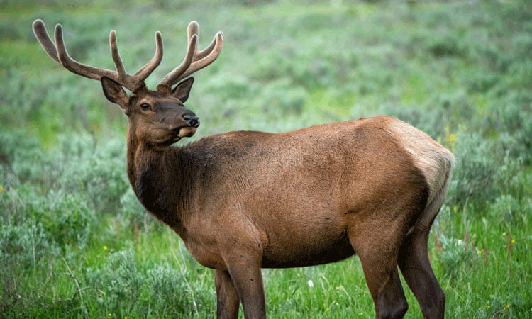  Uludağ National Park