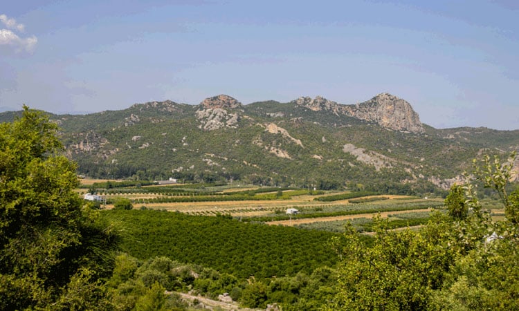 Urla Wine Route – Aegean Elegance