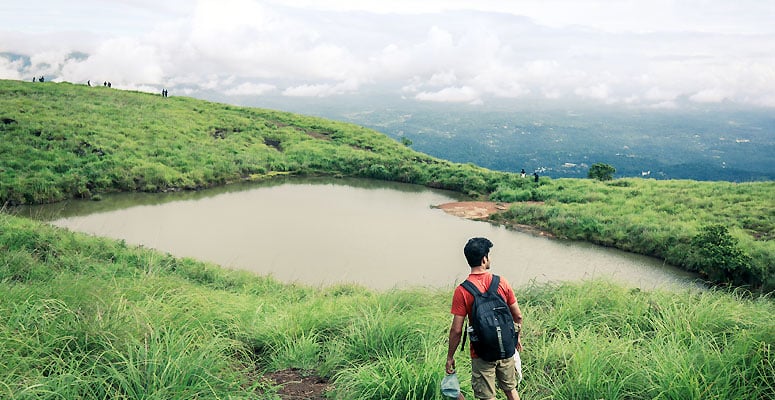 Wayanad forested hills and viewpoints