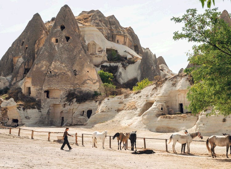 Wildlife & National Parks in Turkey