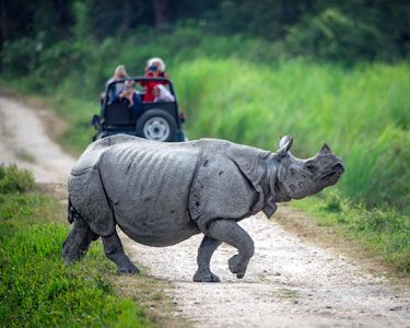Meghalaya with Assam Luxury Tour