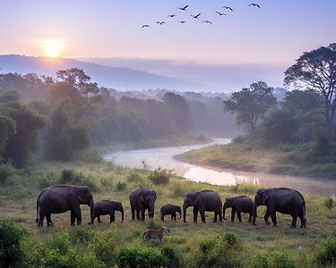 Assam Meghalaya Wildlife Tour
