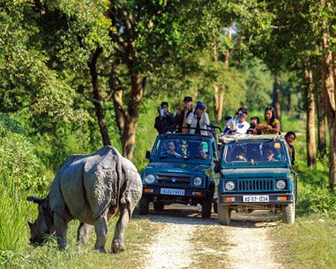 Assam Meghalaya Wildlife Tour
