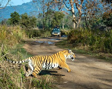 Delightful Uttarakhand Tour