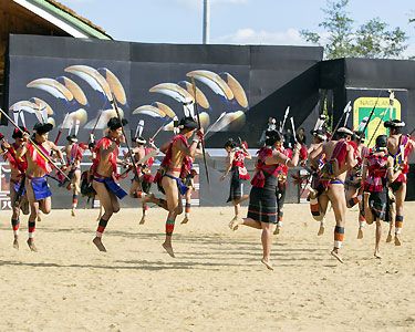 Hornbill with Kaziranga Tour