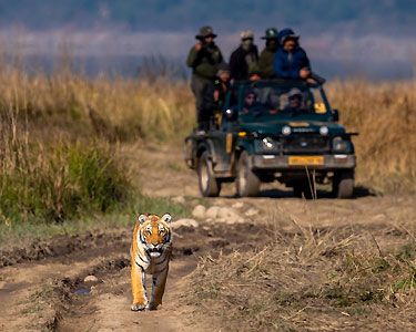 Jim Corbett with Nainital Tour