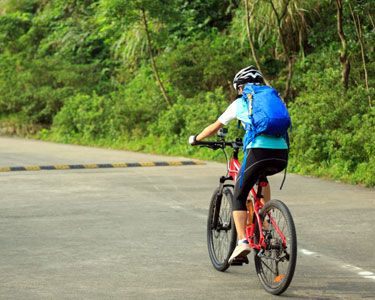 Golden Triangle Goa & Kerala