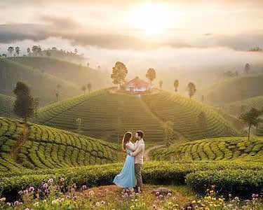 Romantic Kerala Tour