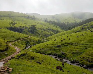 Scenic Kerala Tour