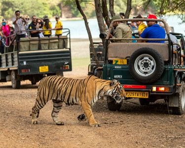 Jaipur Ranthambore Tour
