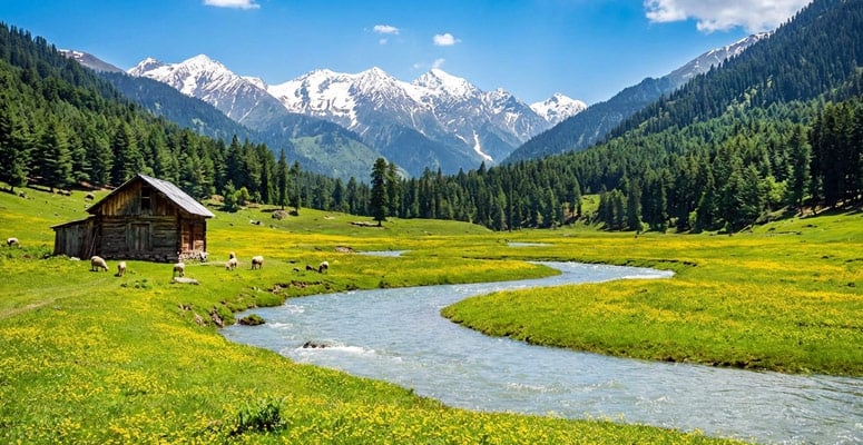 Aru Valley meadows and pine slopes near Pahalgam