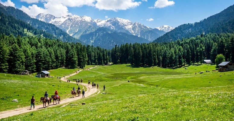 Baisaran Meadow (Mini Switzerland) above Pahalgam