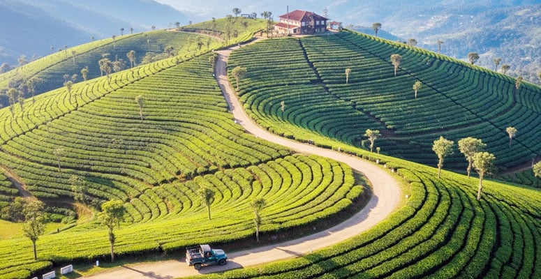 Kolukkumalai Tea Estate