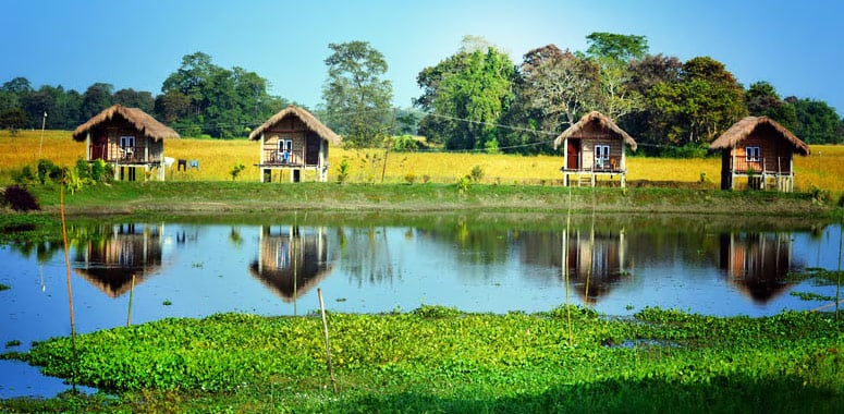 Stilt huts by water, Majuli Island