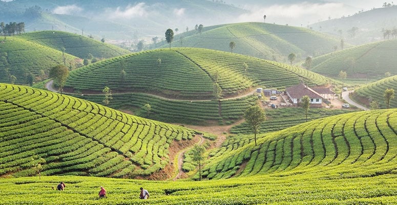 Munnar