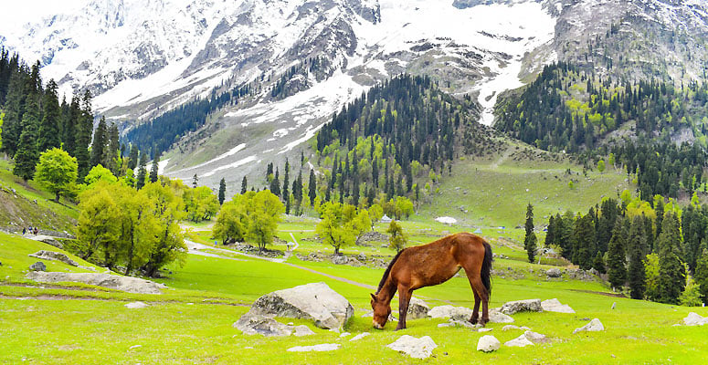 Tangmarg town on the way to Gulmarg