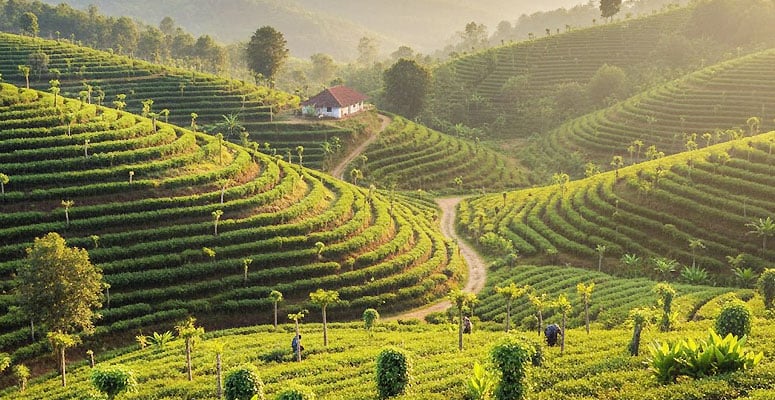 Thekkady