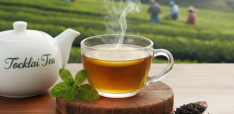 Tocklai tea with estate backdrop